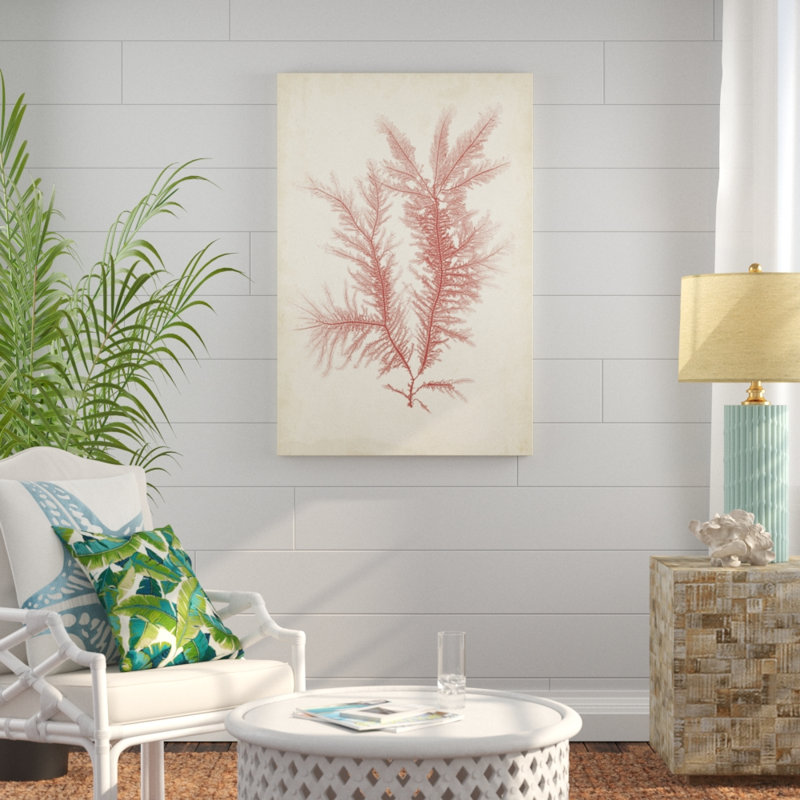 Coral Sea Feather II - Wrapped Canvas Painting Print, 122cm H x 81cm W, Wrapped Canvas