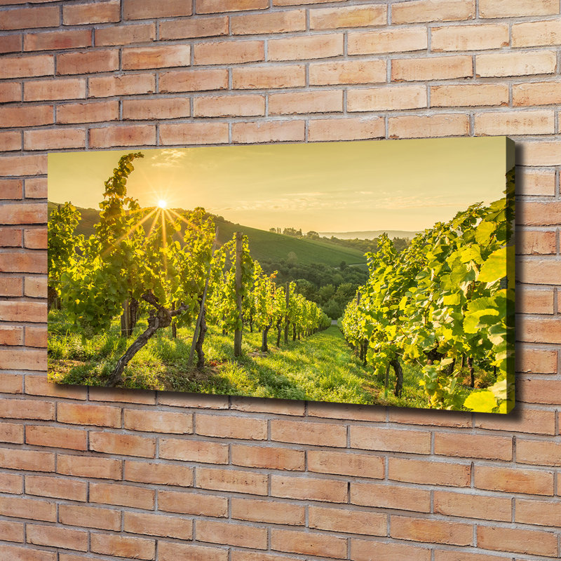 Vineyard - Wrapped Canvas Print