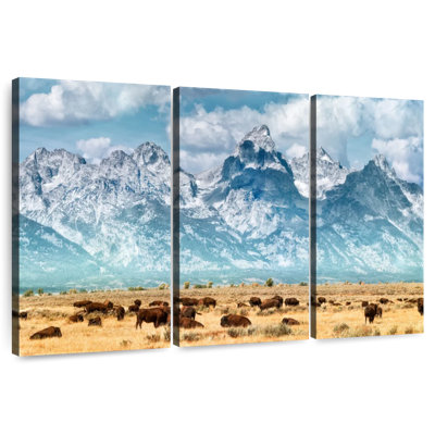 Bison de Yellowstone