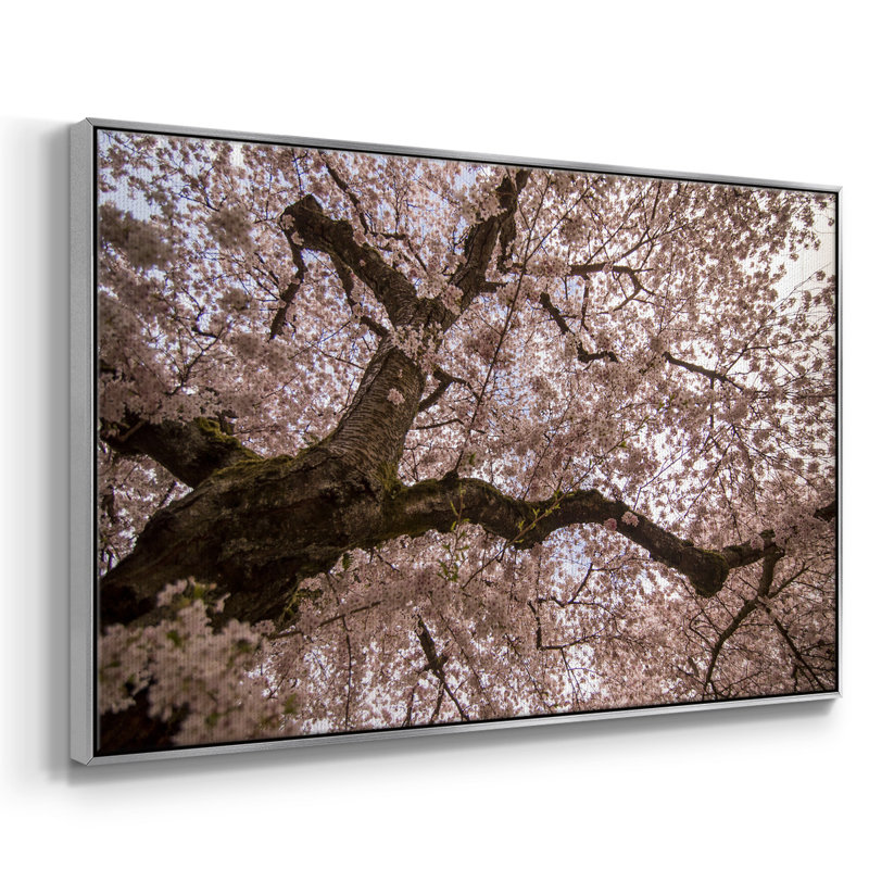"Spring's arrive", reproduction sur toile, H 17 po x l 25 po x P 2 po, Argent