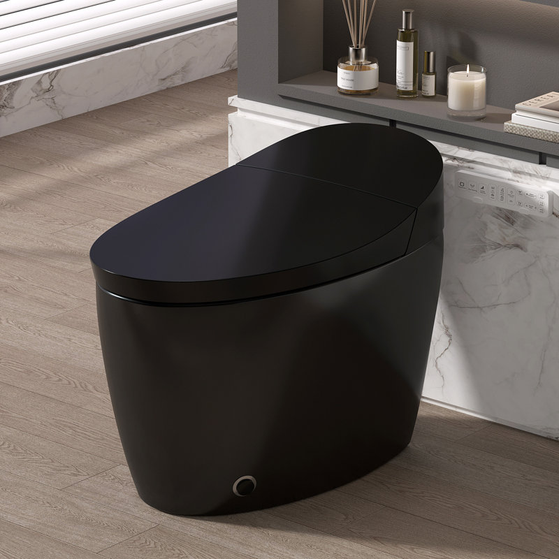 Smart Bidet Toilets, Black Porcelain Compact Modern Bathroom For Home