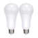 18 Watt White LED Bulb
