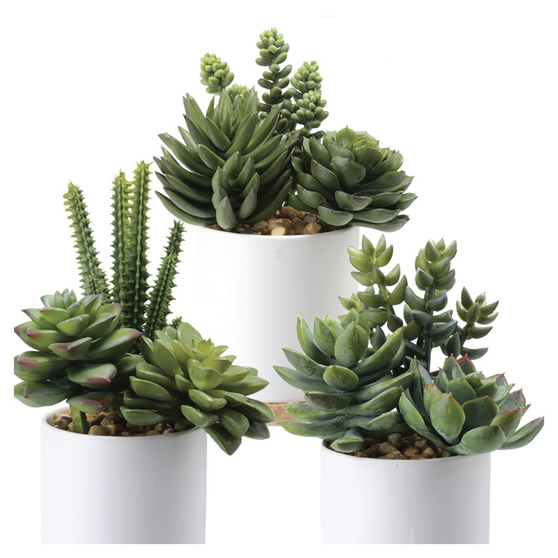 Ensemble de 3 plantes grasses artificielles en pot 7 po