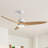   Kemp 56" 3-Solid Wood Blade Propeller Ceiling Fan with Remote Control and LED Light Kit-202757434