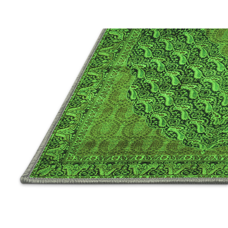 Washable Paisley Indoor Rug, Rectangle 2' x 4'