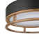 Ray LED Flush Mount