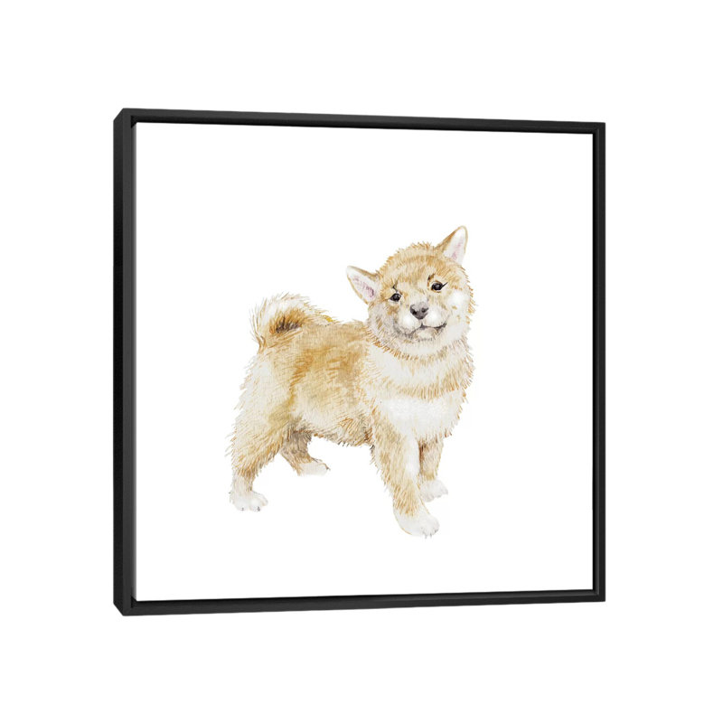 « shiba shiba chiot », impression sur toile, H 18 po x l 18 po x P 1,5 po, Toile avec cadre noir, Pas de tapis