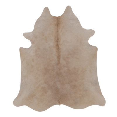 Modern Classics Hand Woven Area Rug