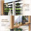 Pavillon de jardin en bois renforcé 11 pi x 10 pi avec rideaux d'intimité et Bartop en bois massif