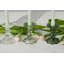 Glass Scalloped Candlesticks-755868917