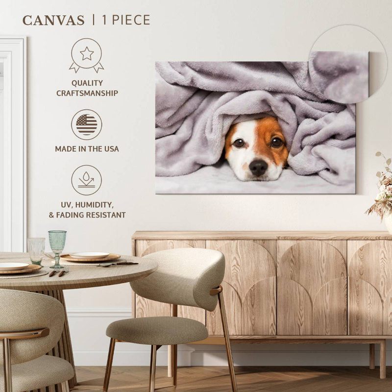 Couverture pour chien Brampt, H 32 po x l 48 po