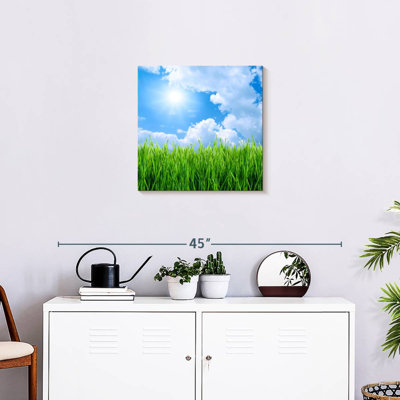 Harnek Grass Field Under Blue Sky