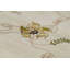 Dharma Oriental Area Rug