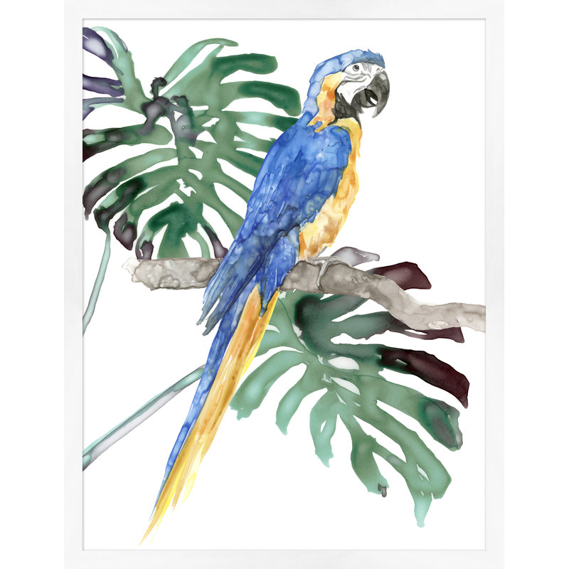 Perroquet perché 1 - Peinture avec cadre