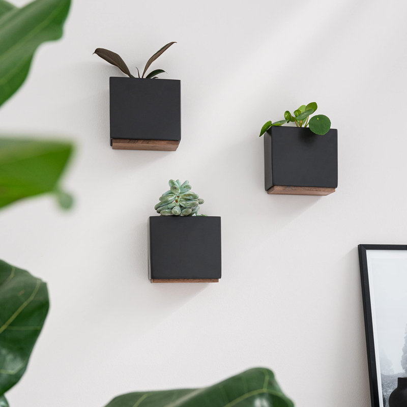 Metal Wall Planter, 12.4cm H x 14cm W x 7cm D, Black