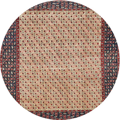 Cobus Oriental Indoor Rug