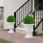 Planter-720768298
