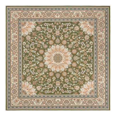 Indoor/Outdoor Traditional Area Rug