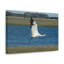 No Frame Print on Canvas-1886150255