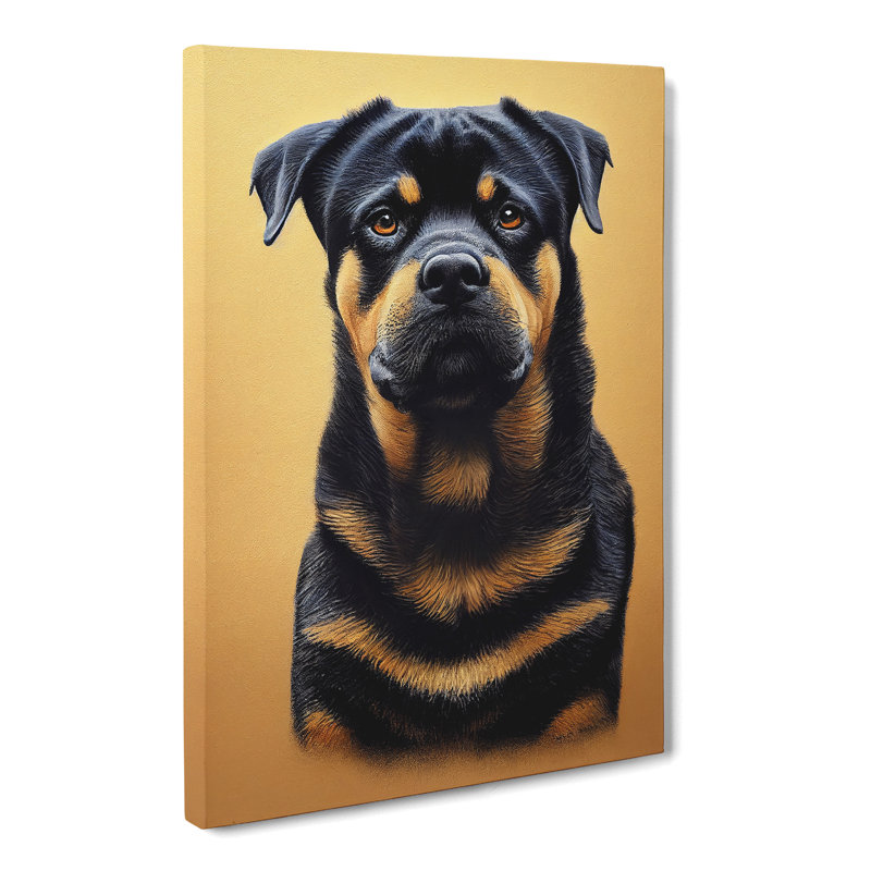 Rottweiler Vol.3 - Wrapped Canvas, 50cm H x 35cm W x 3cm D