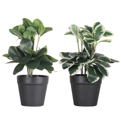 Artificial Green Plant Set