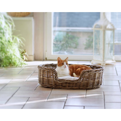 Rebeca Cotton Pet Sofa