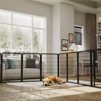 Enclos d'exercice pour chien