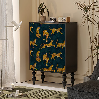 Armoire de rangement rétro pour salon américain