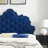 Modway Sasha Button-Tufted Performance Velvet Bed-1017938177-1017938183