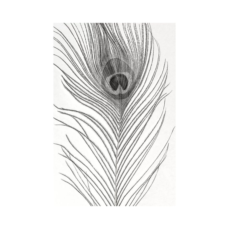 Peacock Feather Mono by Alyson Fennell - Wrapped Canvas Gallery-Wrapped Canvas Giclée, 30.48 cm H x 45.72 cm W