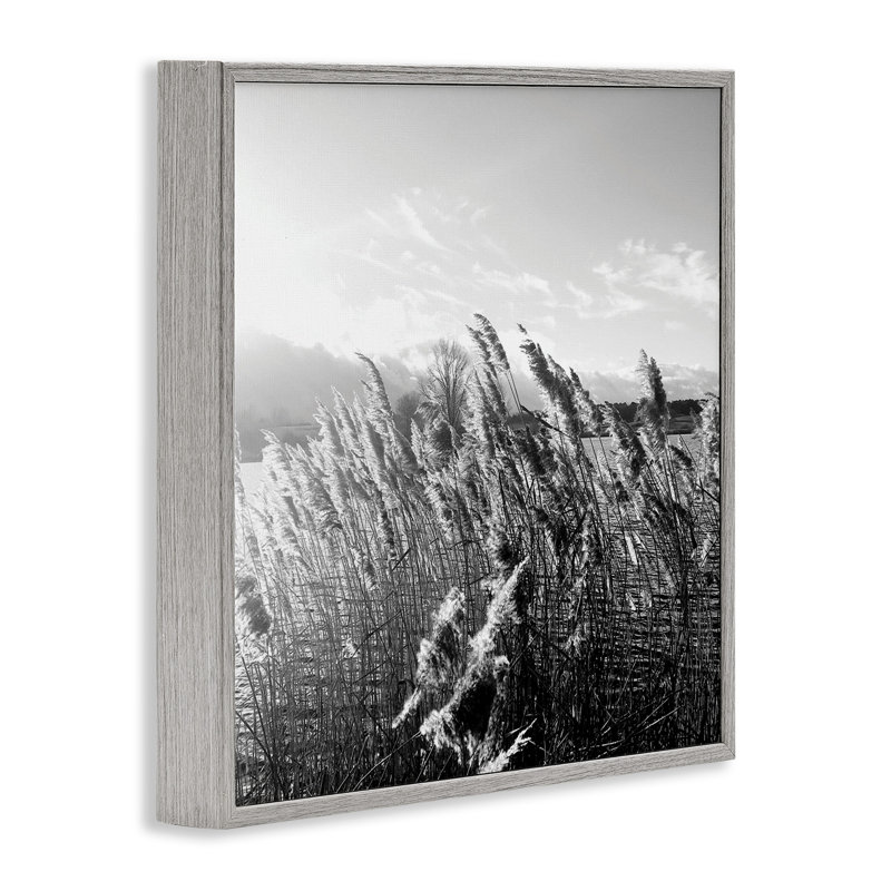 «Tall Grass Lake Water Landscape» par Sarah Jane - photographie, H 24 po x l 24 po, Estampe numérique Farmhouse