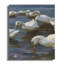Harada Wrapped Canvas Print Set-264915636