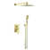 Pressure Balanced Complete Shower System with Rough-in Valve