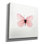 «Papillon rose» par PhotoINC Studio