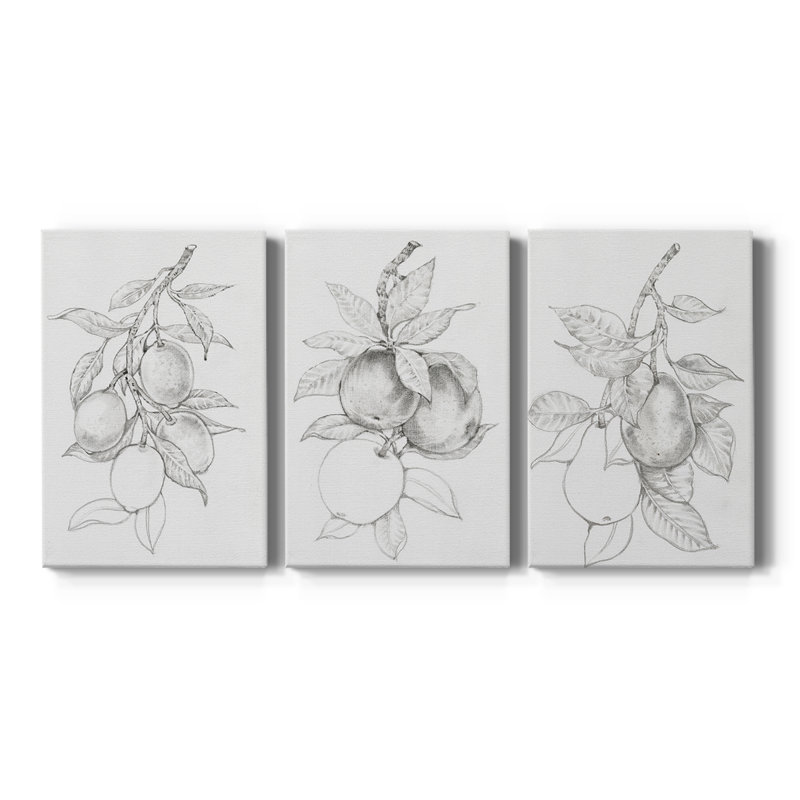 FruitBearing Branch I - Toile tendue avec châssis sur mesure - 3 pièces, H 18 po x l 36 po