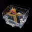 Acrylique maison de hamster et cage transparente pour petits animaux, hamsters et gerbes nains