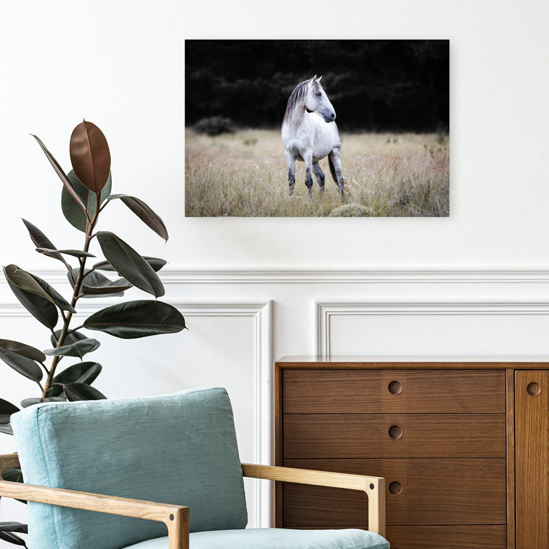 Print, 40.64cm H x 60.96cm W