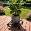 Support à plantes roulant de 56 cm avec roulettes – Support robuste pouvant supporter jusqu'à 272 kg, roulettes verrouillables pour grands pots, ensemble de 2-1542527644