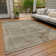 Machine Washable Indoor/Outdoor Claudian ACN1631 Brown Rug