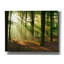«Rays of Light», art mural sur toile-285148113