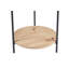 Alsiha End Table