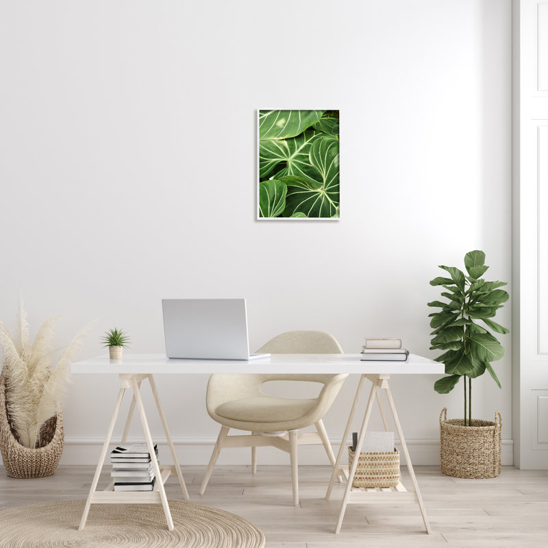 Végétale luxuriante à feuilles vertes, H 20 po x l 16 po x P 1,5 po, Giclée encadrée blanc bord de mer