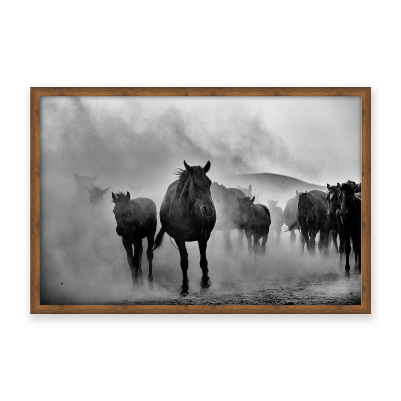 Nature Inspired Untitled by  - Picture Frame Photograph on Paper, 16" H x 24" W x 1.125" D, Black, Framed Matted Print