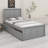 Platform Bed With Trundle Bed-1890338576