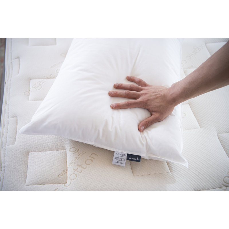Oreiller en duvet de coton biologique, Grand lit