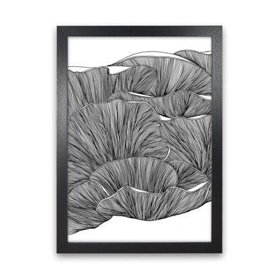 Oyster Mushrooms BW 1 Piece Wall Art