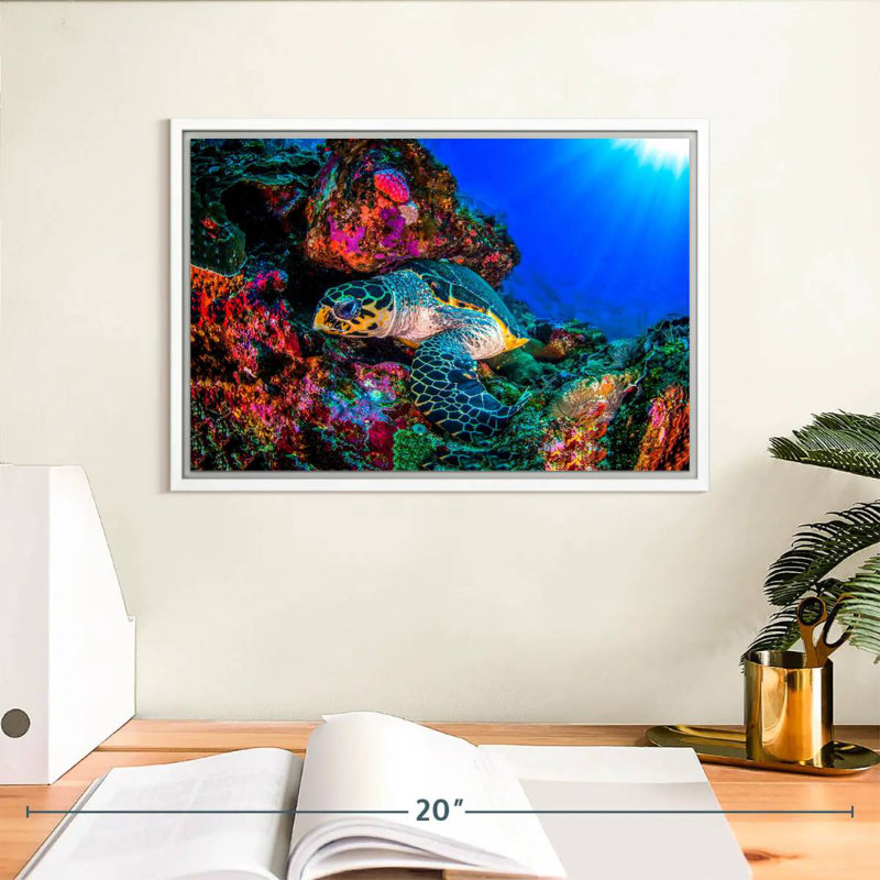 Tortue océan monde, Cadre flottant blanc, 13 po x 9 po