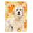 Goldendoodle sélectionné