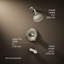 Devonshire Rite-Temp Bath and Shower Trim with Npt Spout and 1.75 Gpm Showerhead-1770659545-1770276071