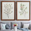 Toile simple encadrée Premium Sprig III - prête à être accrochée-1902786449-1902786450